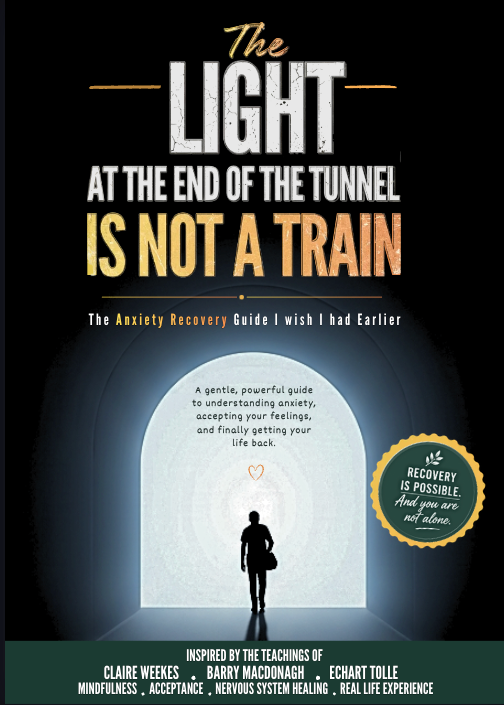 The Light at the End of the Tunnel Is Not a Train ebook cover